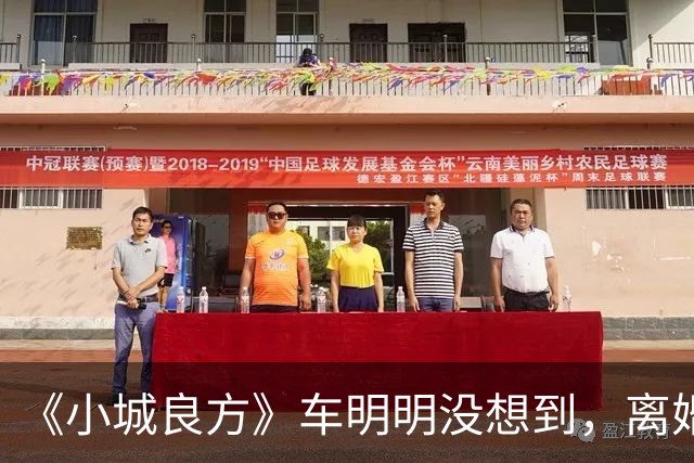 《小城良方》车明明没想到，离婚远走，却促成陈俊南平步青云