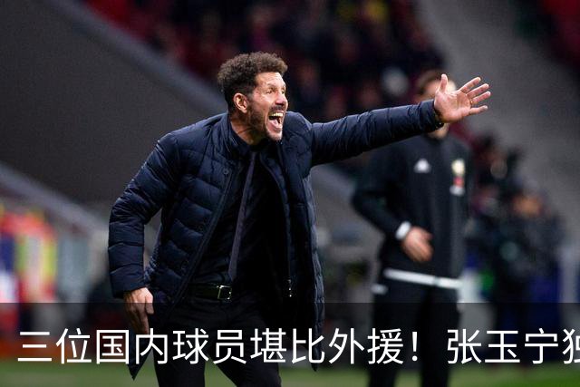 三位国内球员堪比外援！张玉宁独一档，韦世豪缺席，令成都迟迟未夺冠