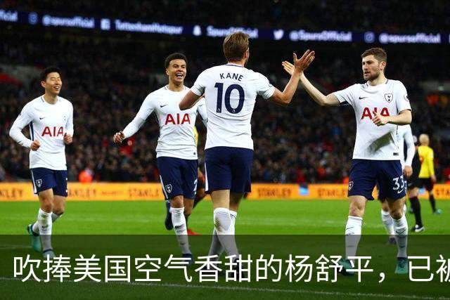 吹捧美国空气香甜的杨舒平，已被美国驱逐出境，回国后处境悲凉