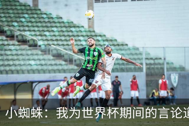 小蜘蛛：我为世界杯期间的言论道歉，换作我是球迷也会生气