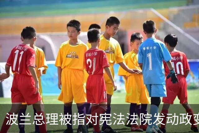 波兰总理被指对宪法法院发动政变